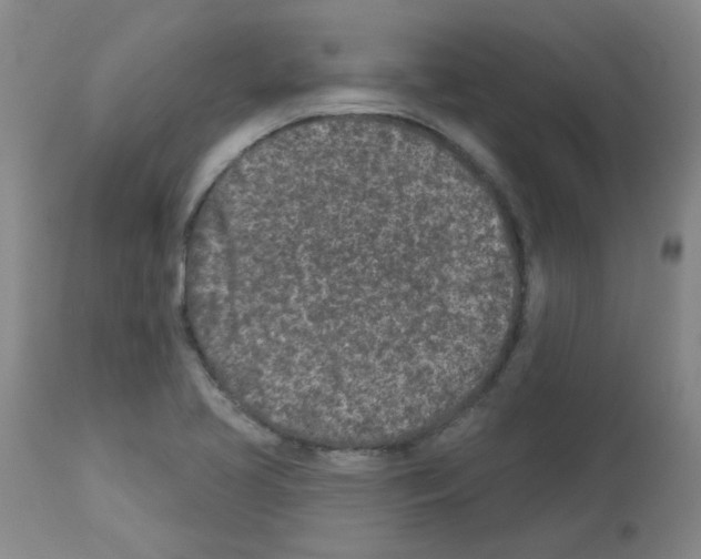X0000112941413200910051144