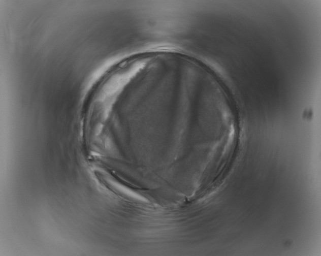 X0000112941414200910051144