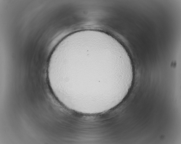 X0000112941415200910051144
