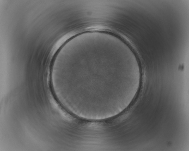 X0000112941418200910051144