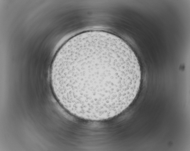 X0000112941420200910051144
