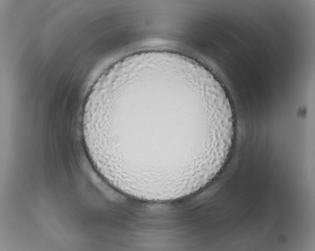 X0000112941421200910051144