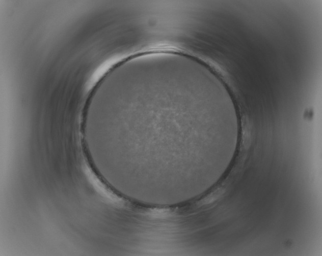 X0000112941422200910051144