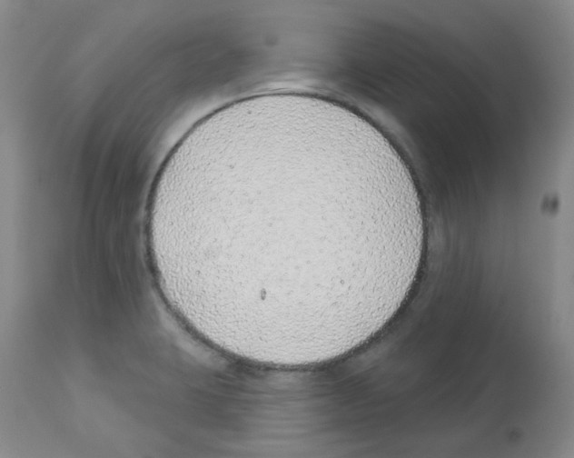 X0000112941423200910051144