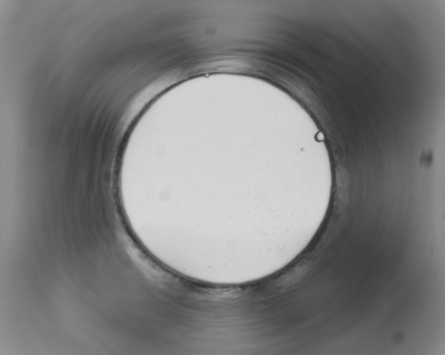 X0000112941426200910051144