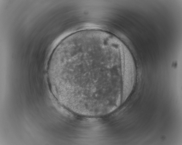 X0000112941427200910051144