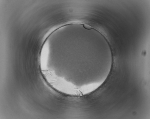 X0000112941428200910051144