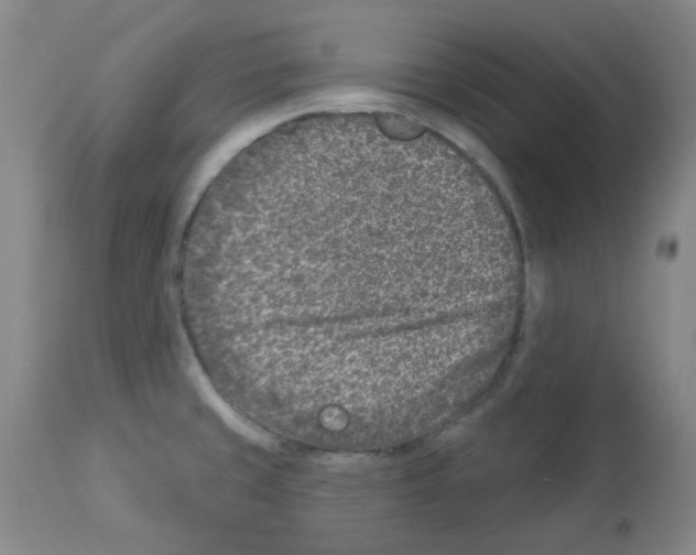 X0000112941429200910051144