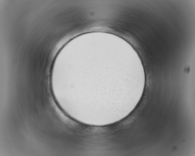 X0000112941430200910051144