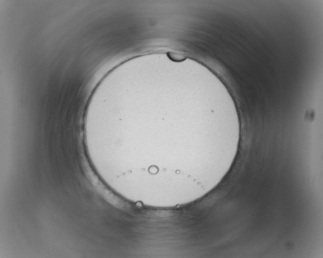 X0000112941431200910051144