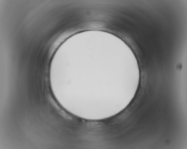 X0000112941432200910051144