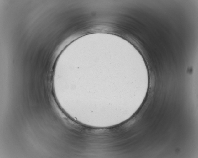X0000112941434200910051144