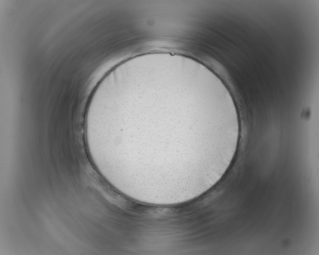 X0000112941435200910051144
