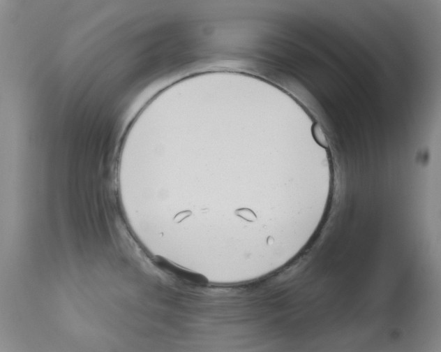 X0000112941436200910051144
