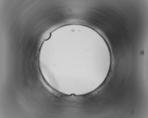 X0000112941437200910051144