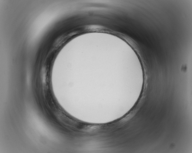 X0000112941438200910051144
