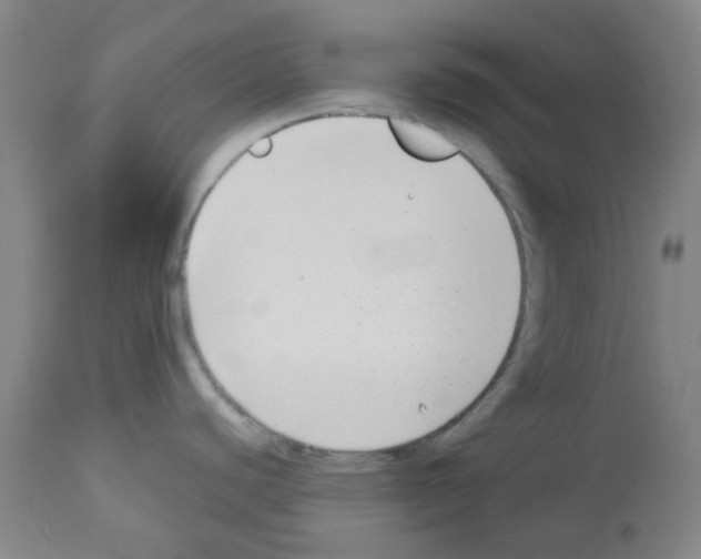 X0000112941440200910051144