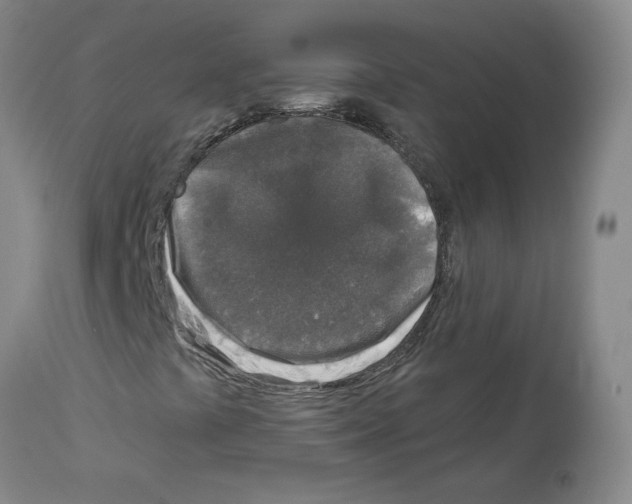 X0000112941441200910051144