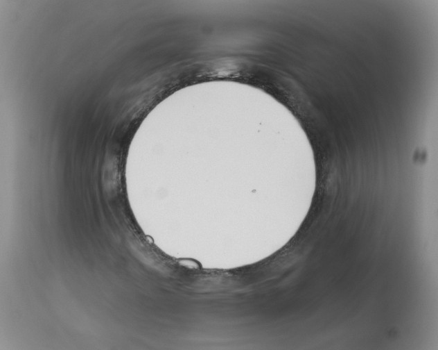 X0000112941442200910051144