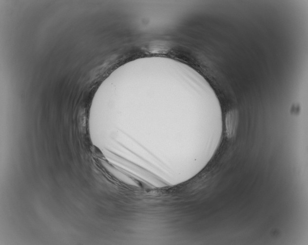 X0000112941443200910051144