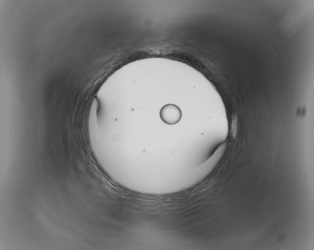 X0000112941444200910051144