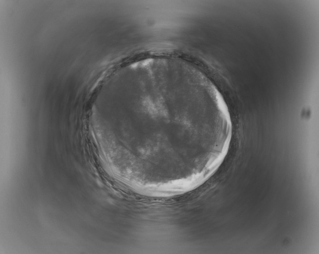 X0000112941445200910051144