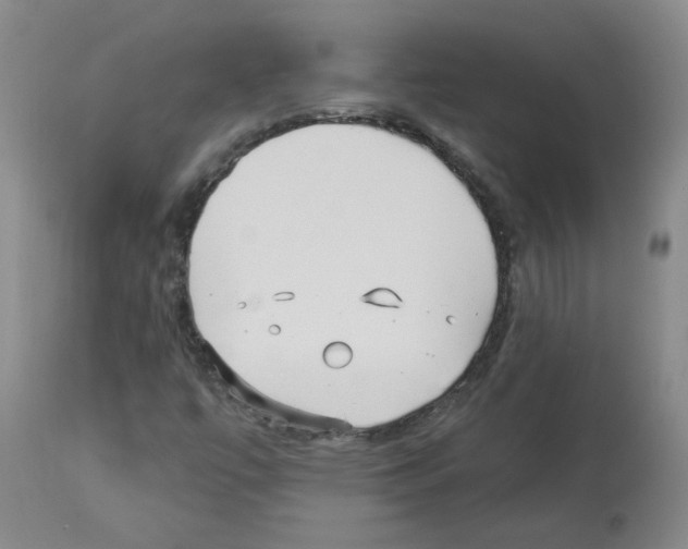 X0000112941447200910051144