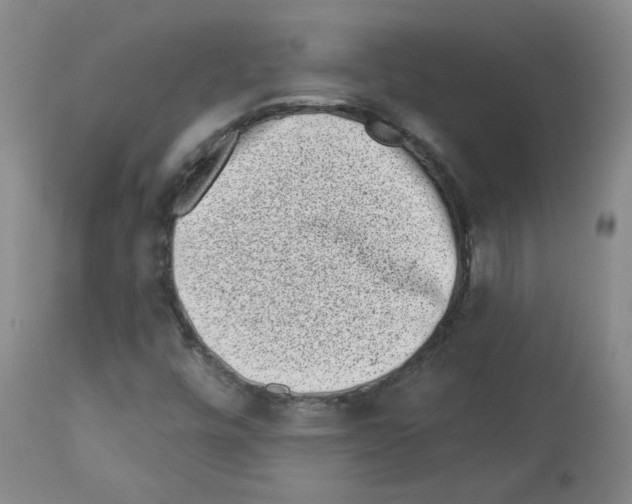 X0000112941448200910051144