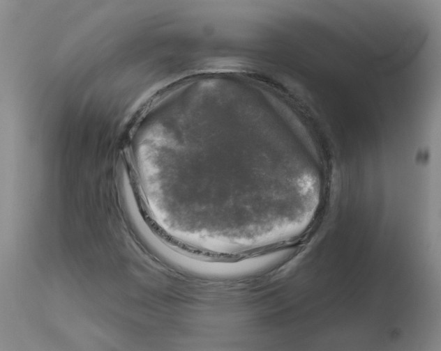 X0000112941449200910051144