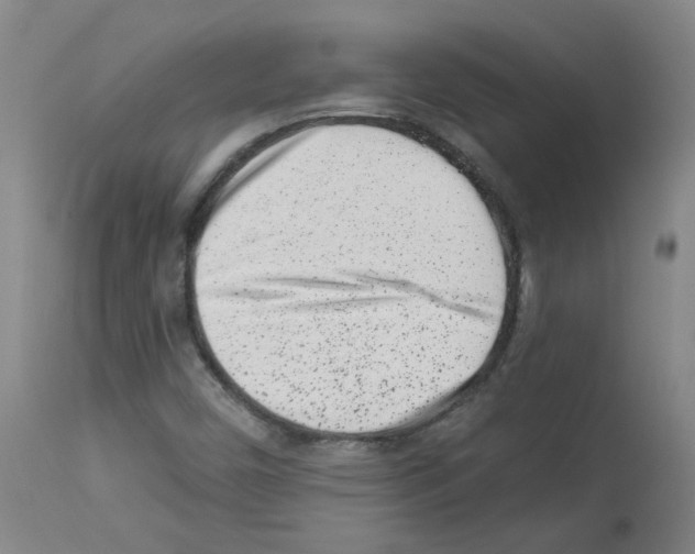 X0000112941450200910051144