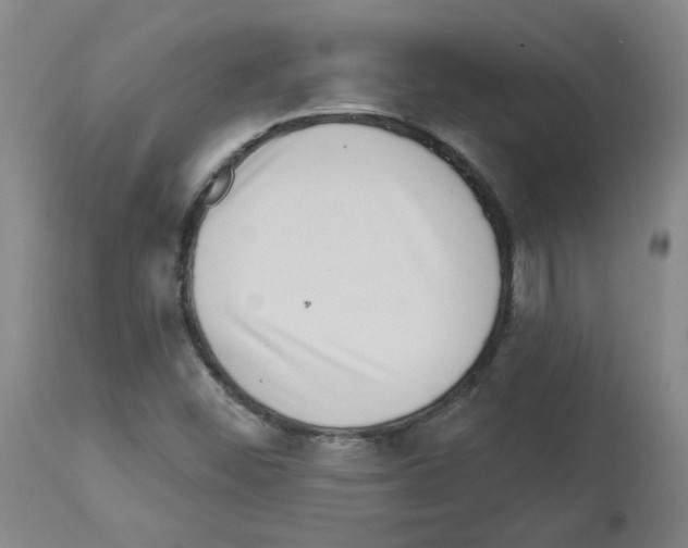 X0000112941452200910051144