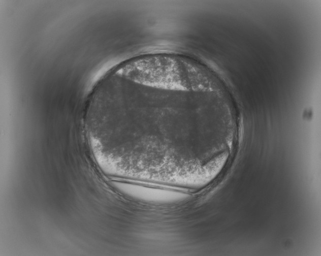X0000112941453200910051143