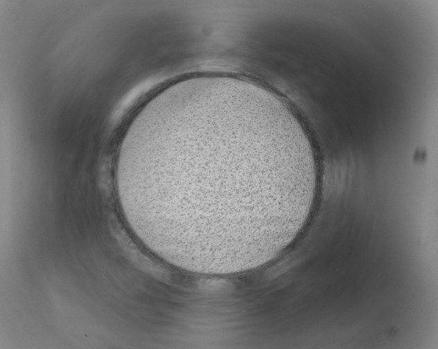 X0000112941454200910051143
