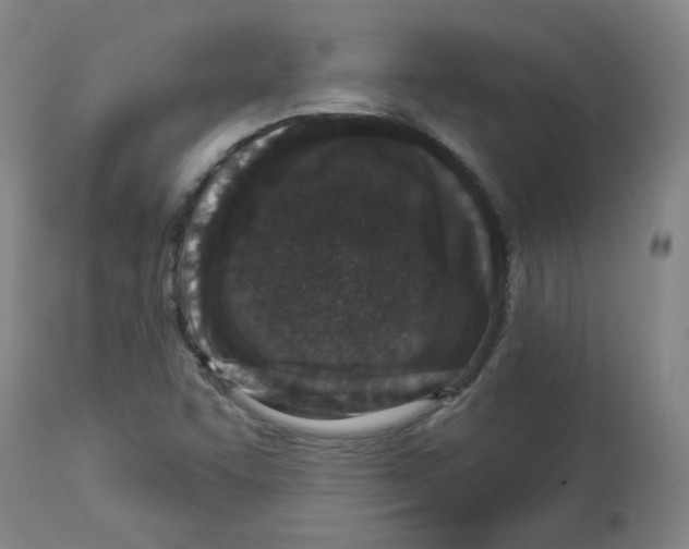 X0000112941455200910051143