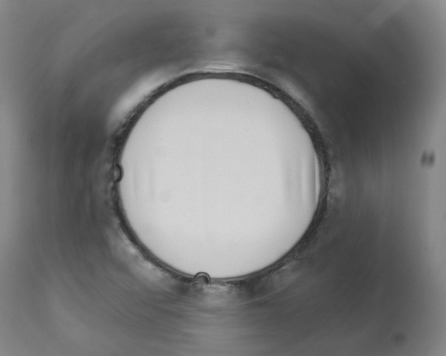 X0000112941456200910051143