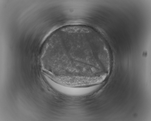 X0000112941457200910051143