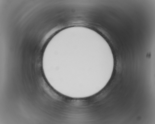 X0000112941458200910051143