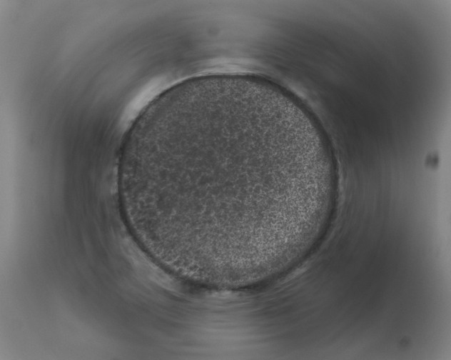 X0000112941459200910051143