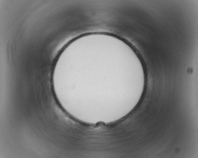 X0000112941460200910051143