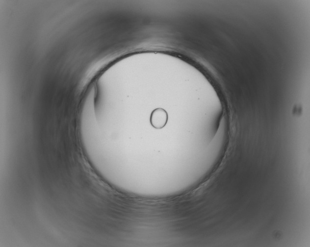 X0000112941461200910051143