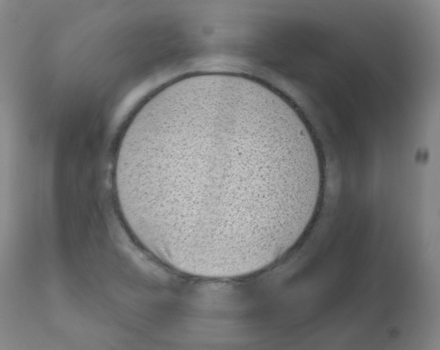 X0000112941462200910051143
