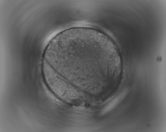 X0000112941463200910051143