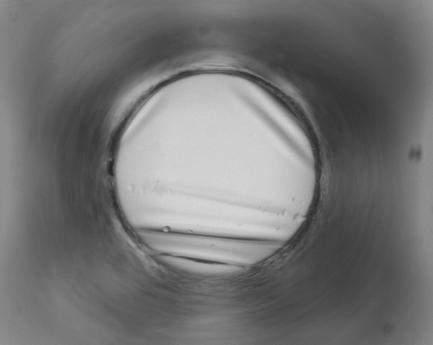 X0000112941464200910051143
