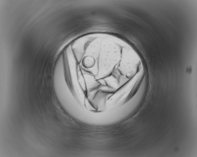 X0000112941465200910051143