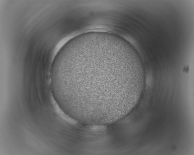 X0000112941466200910051143
