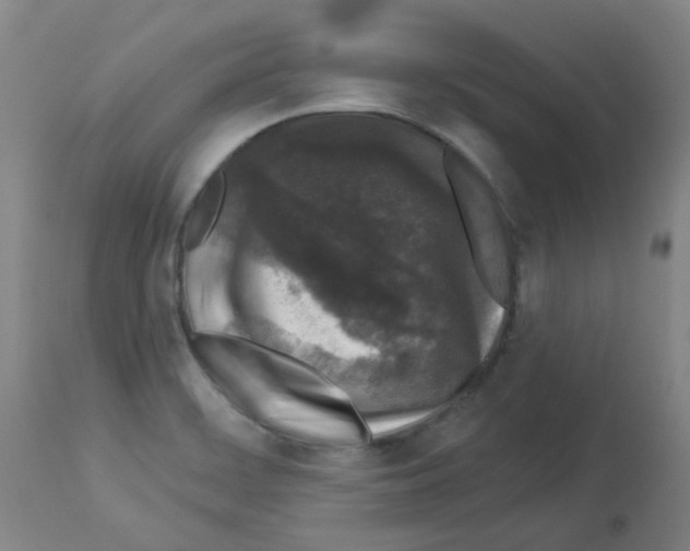 X0000112941468200910051143