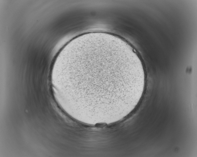 X0000112941469200910051143