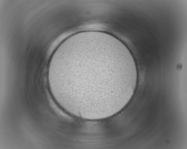 X0000112941470200910051143