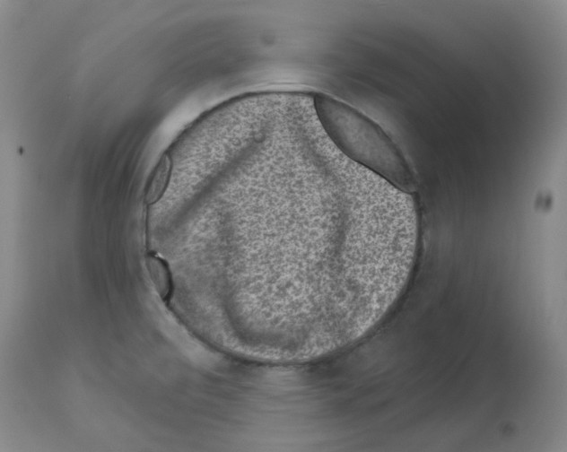 X0000112941472200910051143