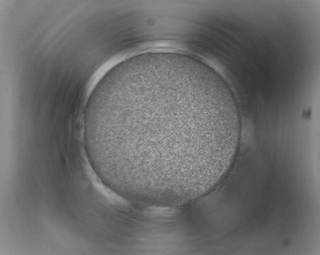 X0000112941474200910051143